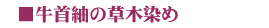 �s�v�c�ȕω����Ƃ��Ă��f�G