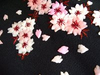 桜のアップリケの帯と六山染着尺