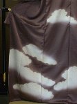 しっとり大人の訪問着 雲取ぼかし