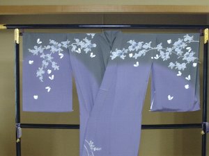 滝沢晃の訪問着コーディネート 蝶