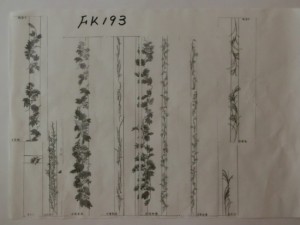 CIMG7978