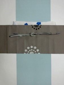 CIMG0311