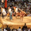 名古屋で19日20日染織逸品展と大相撲見物