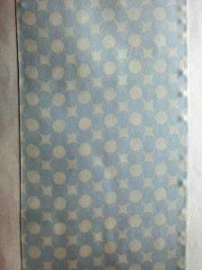CIMG8863a