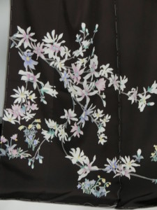 CIMG0242