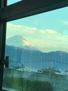 IMG_8222