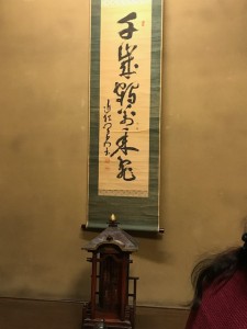 IMG_8400