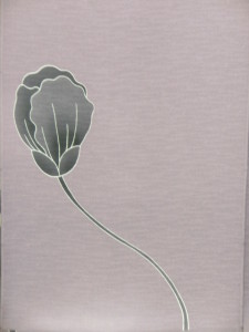 CIMG0208