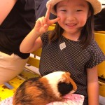 ことなの好きな色
