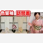 色留袖と訪問着の違い