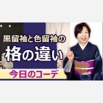 黒留袖と色留袖の格の違い　今日のコーデ