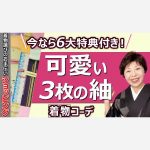 可愛い3枚の紬【ショッピング】６大特典　12月16日24時までのお品　おしゃれな紬がお得！