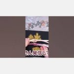 帯締め帯揚げコーデの変化#shorts切り抜き#色個性ファッション診断