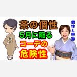 【99％が知らない】茶色の個性の方が陥る５月のコーディネートの危険性