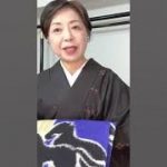 着物より帯が主張する着姿#着物 #着物大学 #kimono #japan #きもの人#着物コーディネート#伊藤康子#shorts