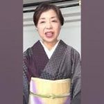 私が好きなものを理解してもらえない#kimono #着物 #着物コーディネート #japan #shorts