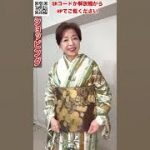 焦げ茶の地色が嬉しい袋帯でも金が沢山入った方が豪華竹の訪問着コーデ#着物 #ショッピング#訪問着#着物コーディネート #きもの人#袋帯#shrots #kimono#japan#shopping