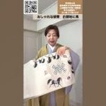 白と黒の馬の袋帯#着物 #kimono #japan #きもの人 #shrots #shopping
