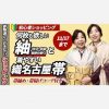 【初心者ショッピング】何枚も欲しい紬（米沢・赤城・板締め絞り）と着やすい織名古屋帯　帯締め・帯揚げコーデ付き　11/17まで