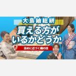 【大島紬総絣】買える方がいるかどうか　染めに近づく織の技
