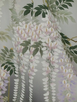 Japanese wisteria gray