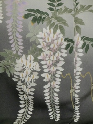 Japanese wisteria gray