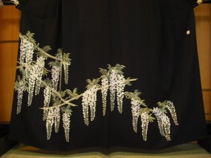 Japanese wisteria black