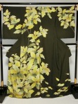 Hōmongi Kashiwa koge cha-chi ni kiiro