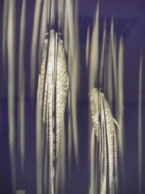 Honkin de kaku shōri ni tsunagaru nobori (shouri)-gaku-iri